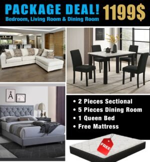 PACKAGE DEAL 1 HOUSTON MASA FURNITURE